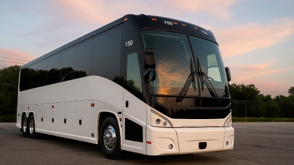 san bernardino bachelor and bachelorette party bus rentals